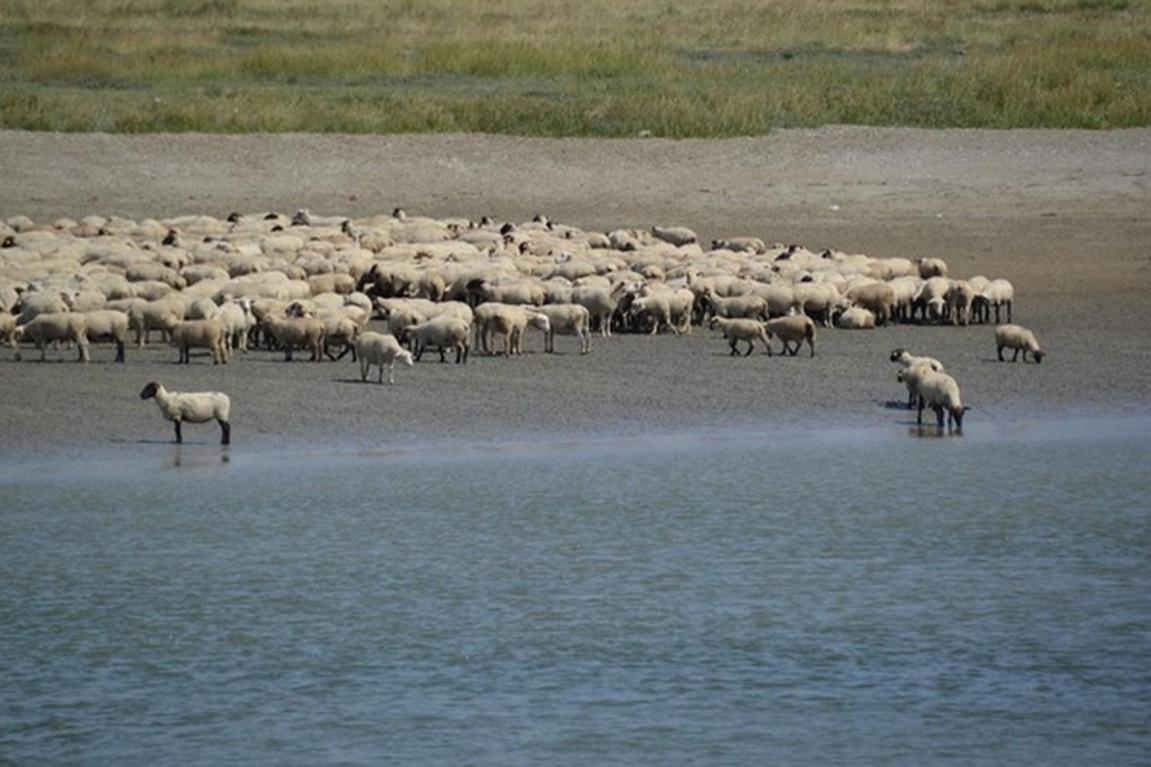 Апартаменты Le Bois Flotte Ле-Кротуа Экстерьер фото